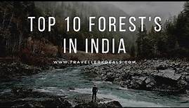 Top 10 forest in India | Forest in india | Wildlife | Flora and fauna of India | Indian Forest |