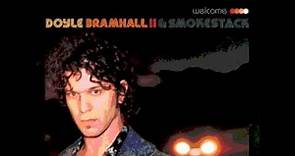 Doyle Bramhall II - Soul Shaker