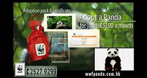 Adopt a panda