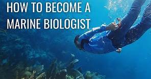 How to Become a Marine Biologist (step by step) // Marine Biology Careers & Marine Research