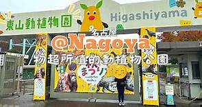 【日本旅行】 誰說名古屋無聊？就來東山動植物園看看吧 — 動物園 . 賞紅葉 . 親子旅行 . 情侶打卡 包你樂而忘返 #nagoya #animallover #紅葉