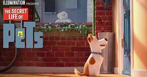 The Secret Life Of Pets | Meet Max & Gidget (HD) | Illumination