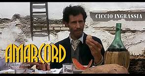 Amarcord (1973) Full HD