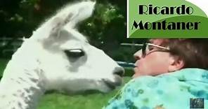 Ricardo Montaner - Soy Feliz (Video Oficial)