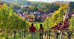 Los 5 pueblos más bonitos de la Selva Negra (Alemania)