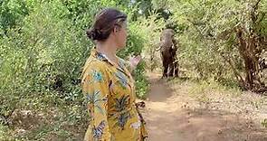 Saba Douglas-Hamilton: In the Footsteps of Elephants | Trailer