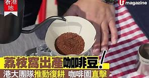 【#香港地】香港都有出產咖啡豆？