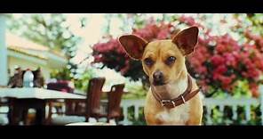 Le Chihuahua de Beverly Hills - Bande-annonce (Jamel Comedy Club) I Disney