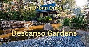 Visit the beautiful Descanso Gardens