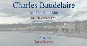 French Poem - L'Albatros by Charles Baudelaire - Slow Reading