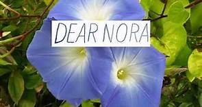 Dear Nora - Morning Glories (Music Video)