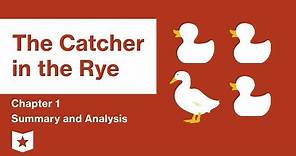 The Catcher in the Rye | Chapter 1 Summary and Analysis | J.D. Salinger
