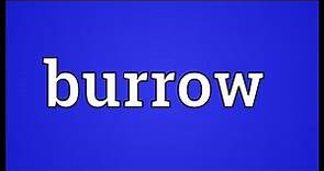 Burrow Meaning