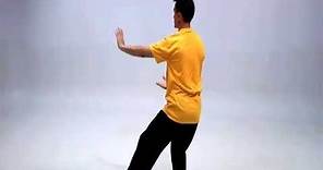 Simplified Tai Chi 24: Reverse View