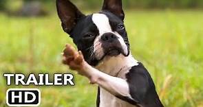 STRAYS Trailer (2023) Isla Fisher, Will Ferrell, Jamie Foxx, Comedy Movie
