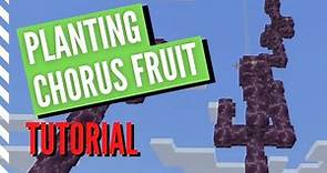 How to Plant CHORUS FRUIT in Minecraft