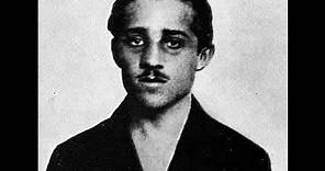 World War I: Gavrilo Princip's Final Days
