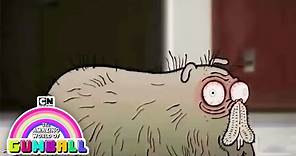 Chris Morris the Hamster | The Amazing World of Gumball | Cartoon Network