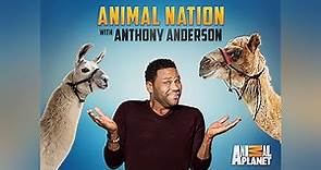 Animal Nation with Anthony Anderson Season 1 Episode 1