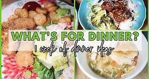 3 NEW RECIPES | WHAT'S FOR DINNER? #310 | 7 Real Life Family Meal Ideas