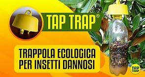 Tap Trap - trappola ECOLOGICA per insetti