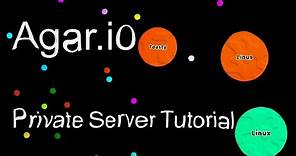 How to setup a private Agar.io Server