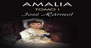 Resumen del libro Amalia (José Mármol)