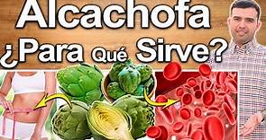 Alcachofa ¿Para Qué Sirve? - Beneficios Y Propiedades De La Alcachofa Para Tu Salud Y Belleza