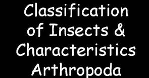 Classification of Insects and characteristics of Arthropoda