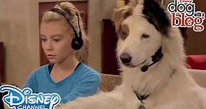 10 Throwbacks from Dog With A Blog | Disney Channel UK