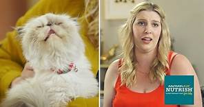 People Who Hate Cats Live With Cats For A Week // Presented By BuzzFeed & Rachael Ray Nutrish