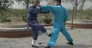 Shaolin Kung Fu: 20 fight techniques