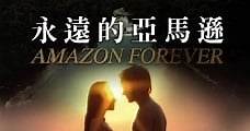 Amazon Forever (2004) Online - Película Completa en Español / Castellano - FULLTV