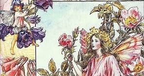 Flower Fairies - Cicely Mary Barker