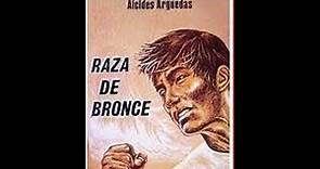 Resumen del libro Raza de bronce (Alcides Arguedas)