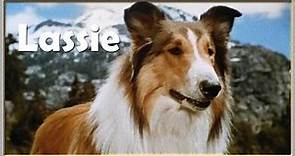 lassie pelicula completa en español