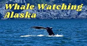 WHALE WATCHING ALASKA (Best Time And Place To See Whales In Alaska) | Alaska Travel Guide