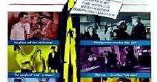 Los hermanos Rico (1957) Online - Película Completa en Español - FULLTV