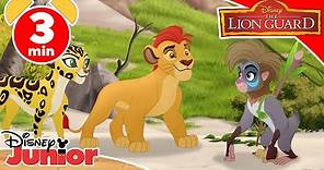 The LionGuard | L'isola del drago - Disney Junior Italia
