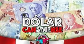EP.11 El dólar canadiense | AVENTURA EN CANADÁ