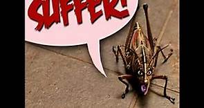 Rapture palooza - Suffer Suffer Suffer Bug