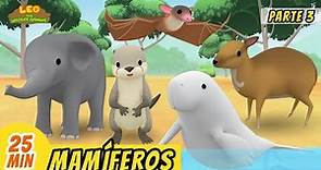 Mamíferos Episodio Compilación [Parte 3/6] (Español) - Leo, El Explorador | Animación - Familia
