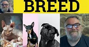 🔵 Breed Meaning - Breed Examples - Breed Definition - IELTS Verbs CAE Nouns Breed