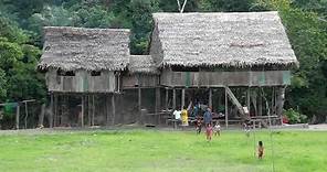 Village Life in the Amazon Jungle