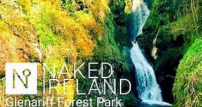 Beautiful Glenariff Forest Park in the heart of the stunning Glens of Antrim