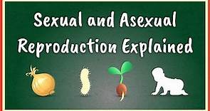 Sexual and Asexual Reproduction Explained