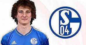 Alex Kral 2022 ● Welcome to Schalke 04 🔵⚪ Best Defensive Skills & Passes HD