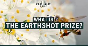 What is The Earthshot Prize?