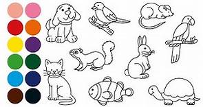 ANIMALES DOMESTICOS aprender a dibujar y colorear para niños - Dibujos para niños con Mozart