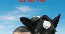 Un cuento chino (2011) Online - Película Completa en Español - FULLTV